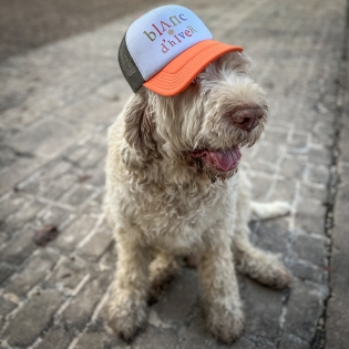 Ziggy avec une casquette Blanc d'hiver