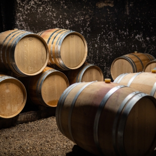 Fûts de chêne dans la cave