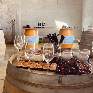 Picnic lunch during a wine tasting event