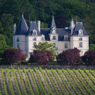 Château des Roches