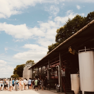 a winery tour