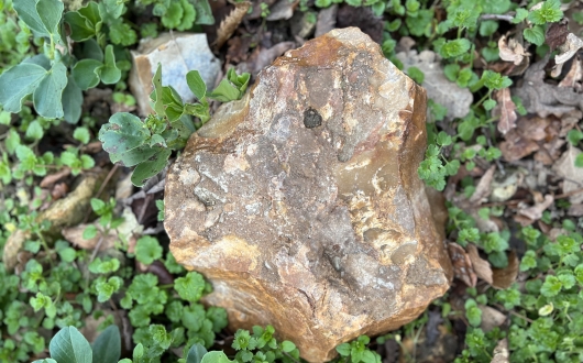 respect for our terroir