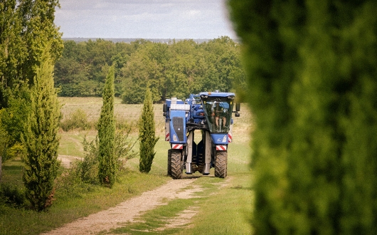 la cave coopérative du haut-poitou